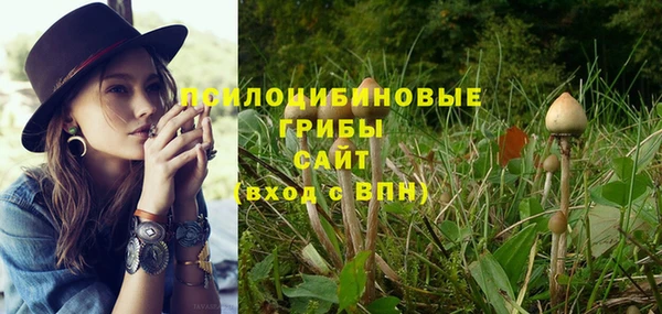 твердый Бутурлиновка
