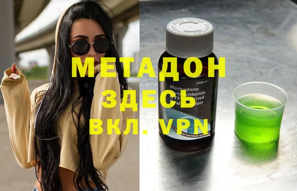 прущие грибы Алзамай