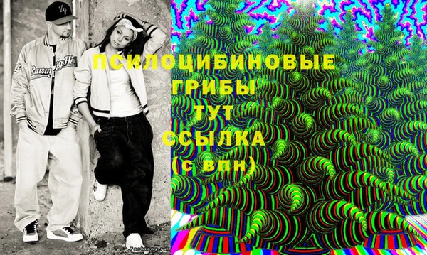 прущие грибы Алзамай