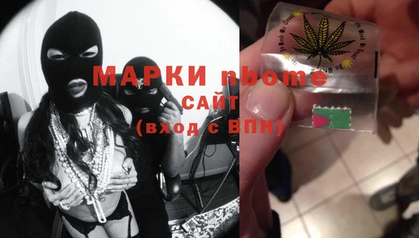 прущие грибы Алзамай