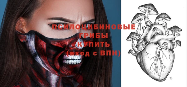 прущие грибы Алзамай