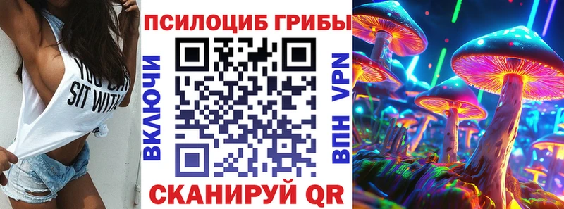 blacksprut рабочий сайт  Грязовец  Галлюциногенные грибы MAGIC MUSHROOMS 